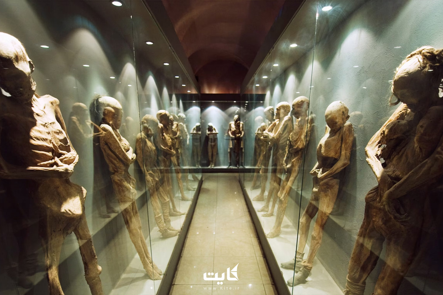 موزه مومیایی Mummy Museum Mexico